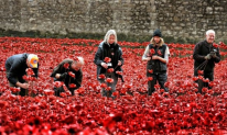 Planting poppies at Tower